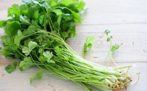 4 cách đơn giản để chăm sóc da bằng rau mùi