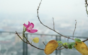 Đêm 5/4, miền Bắc đón không khí lạnh tăng cường