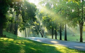 Đầu tuần sau, các tỉnh Bắc Bộ ấm áp trở lại