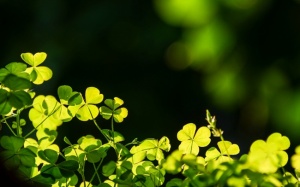 Bắc Bộ nắng ấm, nhiệt độ tiếp tục tăng