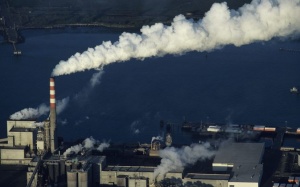 Nguyên nhân gây eczema ở người lớn