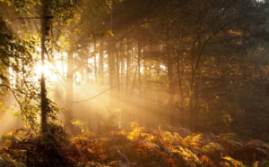 Bắc Bộ nắng nóng trong 2 - 3 ngày tới 