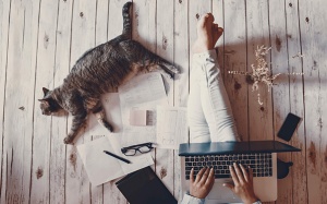 Tử vi thứ Sáu (13/4/2018): Kim Ngưu nên sẵn sàng cho những thay đổi táo bạo