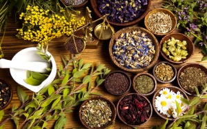 3 cách đơn giản giảm u xơ tử cung