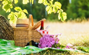 Tử vi Chủ nhật (15/4/2018): Cự Giải nên đưa cả nhà đi picnic