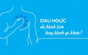 Phân biệt đau ngực do bệnh tim và do các bệnh khác