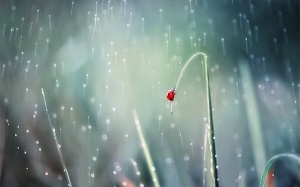 Thời tiết 17/4: Bắc Bộ còn mưa về đêm và sáng