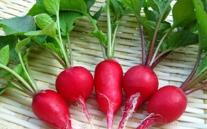 Bí quyết làm mặt nạ chăm sóc da từ củ cải đỏ