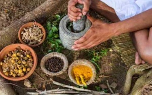 6 loại thảo mộc tốt nhất cho sức khỏe của bạn