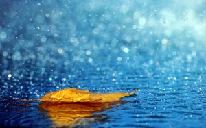 Bắc Bộ có mưa rào và dông về đêm và sáng sớm