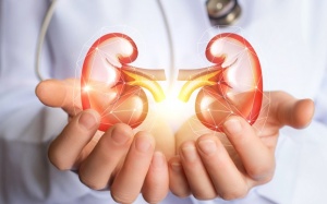 Bị đái tháo đường, làm sao bảo vệ thận khỏi biến chứng?