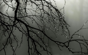 Bắc Bộ có mưa to, vùng núi có nguy cơ sạt lở đất