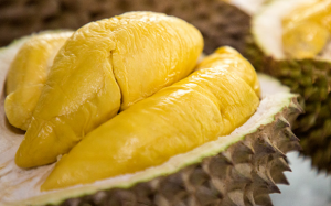 Bị vô sinh hiếm muộn: Hãy ăn sầu riêng! 