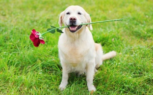 Tử vi thứ Tư (9/5/2018): Song Ngư nên mở lòng hơn với mọi người xung quanh