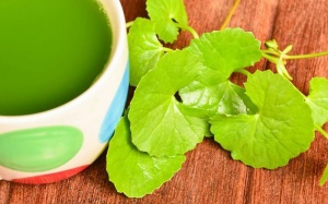 5 món ăn, bài thuốc Đông y trị say nắng hiệu quả