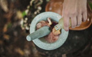 Bị dị ứng theo mùa có nên dùng tinh dầu?