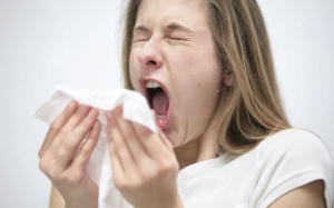 Viêm mũi dị ứng: Tưởng bệnh “xoàng” mà gây nhiều biến chứng