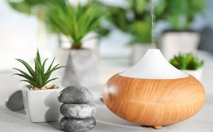 'Siêu hỗn hợp' chống dị ứng theo mùa từ tinh dầu