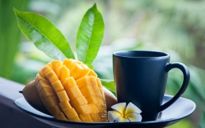 Cách pha trà từ lá xoài non cho người đái tháo đường type 2