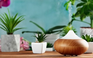 Dùng tinh dầu để giảm ngáy ngủ như thế nào?