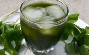 Những loại nước nên uống khi bị nhiệt miệng, loét miệng