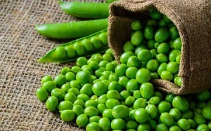 4 lý do vì sao bạn nên ăn đậu Hà Lan