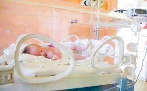 Vi khuẩn lây truyền qua đường tình dục có thể gây sinh non