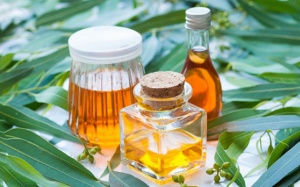 10 lợi ích của tinh dầu khuynh diệp bạn không nên bỏ qua