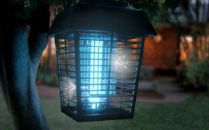 Đèn diệt muỗi không hiệu quả như bạn mong muốn