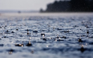 Tây Nguyên và Nam Bộ có mưa dông vào chiều tối