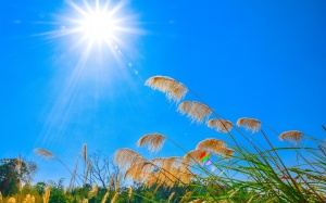 Cả nước: Mưa dông xuất hiện vào chiếu tối và đêm