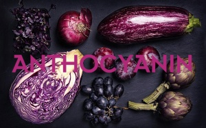 Anthocyanin - chất chống oxy hóa mạnh mẽ được y học tự cổ chí kim công nhận