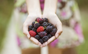 Anthocyanin chống ung thư có trong thực phẩm nào?