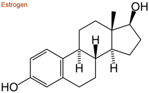 Nội tiết tố estrogen có vai trò làm đẹp như thế nào? 