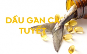 Một số lưu ý trước khi sử dụng dầu gan cá tuyết
