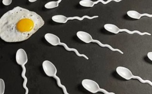 3 loại thực phẩm không nên ăn nếu muốn có tinh binh khỏe mạnh