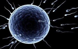 Khám phá mới về tinh trùng của nam giới