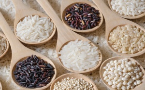 Ăn gạo mỗi ngày, người thích kẻ chê và đây là lời giải đáp