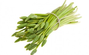 7 cách giúp hỗ trợ điều trị vô sinh hiếm muộn theo Ayurveda