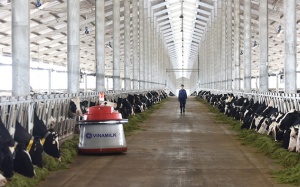 Việt Nam lần đầu tiên sản xuất sữa A2 - loại sữa bò gần với sữa mẹ nhất