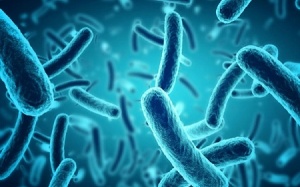 Có thực sự cần bổ sung probiotics?