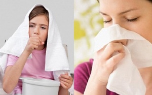 Miễn dịch hô hấp có vai trò gì với phòng, điều trị viêm mũi dị ứng? 