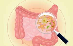 Ăn gì sau khi uống thuốc kháng sinh để tốt cho đường ruột?