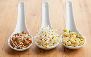 Lý do khiến bạn nên ăn ngũ cốc nảy mầm