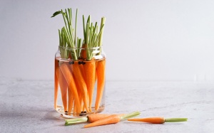 9 mẹo đơn giản giúp giữ rau củ quả tươi lâu hơn trong mùa Hè