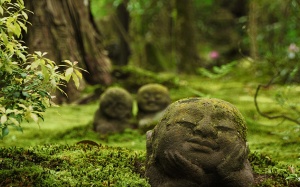 Cho tinh thần 'ăn' gì?