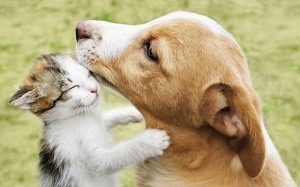 Tử vi thứ Năm (12/7/2018): Song Tử có 'duyên' làm quen với bạn khác giới