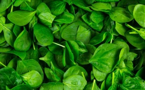 Những lưu ý khi bổ sung magne cho cơ thể