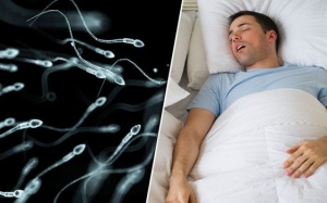 Thiếu ngủ làm ảnh hưởng tới sức khỏe 'tinh binh' của nam giới