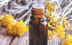 Tinh dầu cúc bất tử và các lợi ích cho da, tim, hệ tiêu hóa